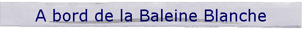 A bord de la Baleine Blanche